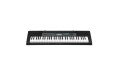 CASIO CTK-2550 Electronic Musical Instrument (STANDARD) KS42