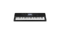 CASIO CT-X870IN Electronic Musical Instrument (STANDARD) KS44