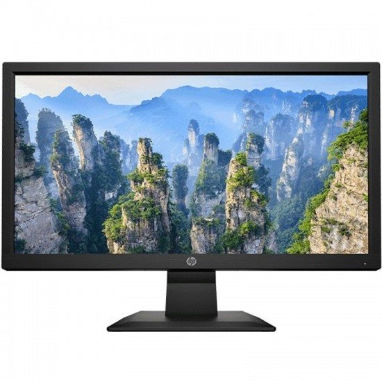 HP V20 19.5 Inch HD+ LED TN Monitor