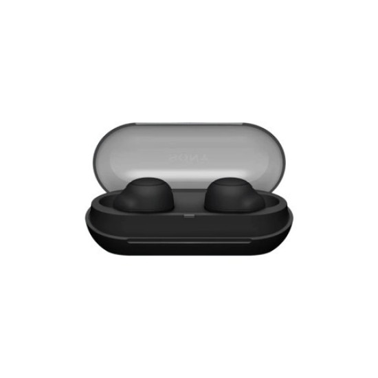 Sony WF-C500 True Wireless Earbuds