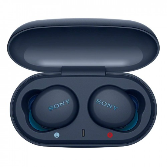 Sony WF-XB700 True Wireless Earbuds
