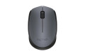 Logitech M171 Wireless Nano-receiver Mouse