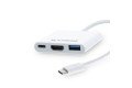 XTREME XH303C 1 HDMI, 2 USB 3.0 TYPE C HUB