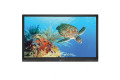 Boxlight ProColor 654U 65 Inch 4K Interactive Flat Panel Display